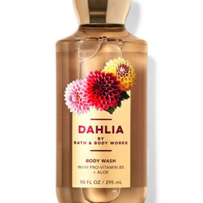 Dahlia