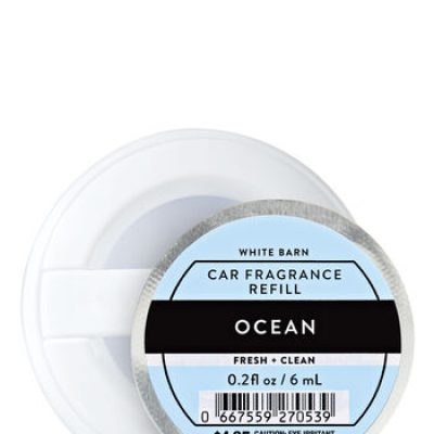 Mens Ocean Car Fragrance Refill