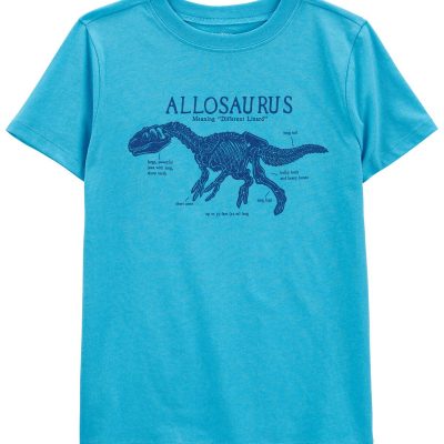 Blue Kid Dino Graphic Tee | carters.com