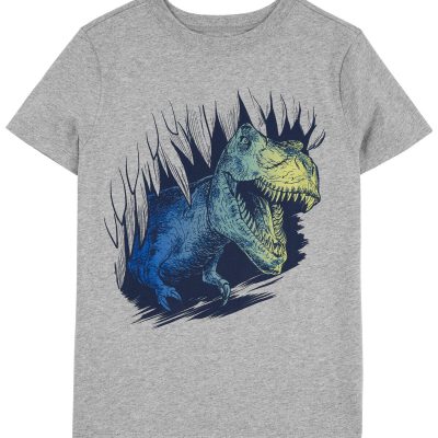 Grey Kid Dino Graphic Tee | carters.com