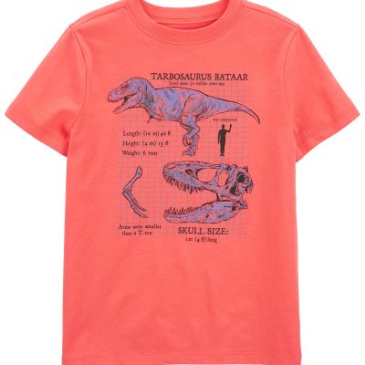 Orange Kid Dinosaur Graphic Tee | carters.com